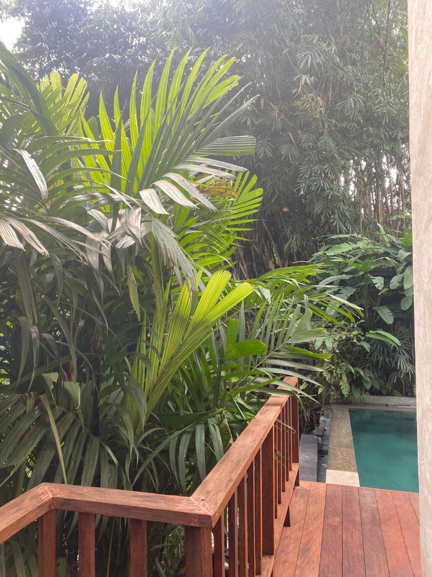 Villa Purnamasari Ubud Kültér fotó